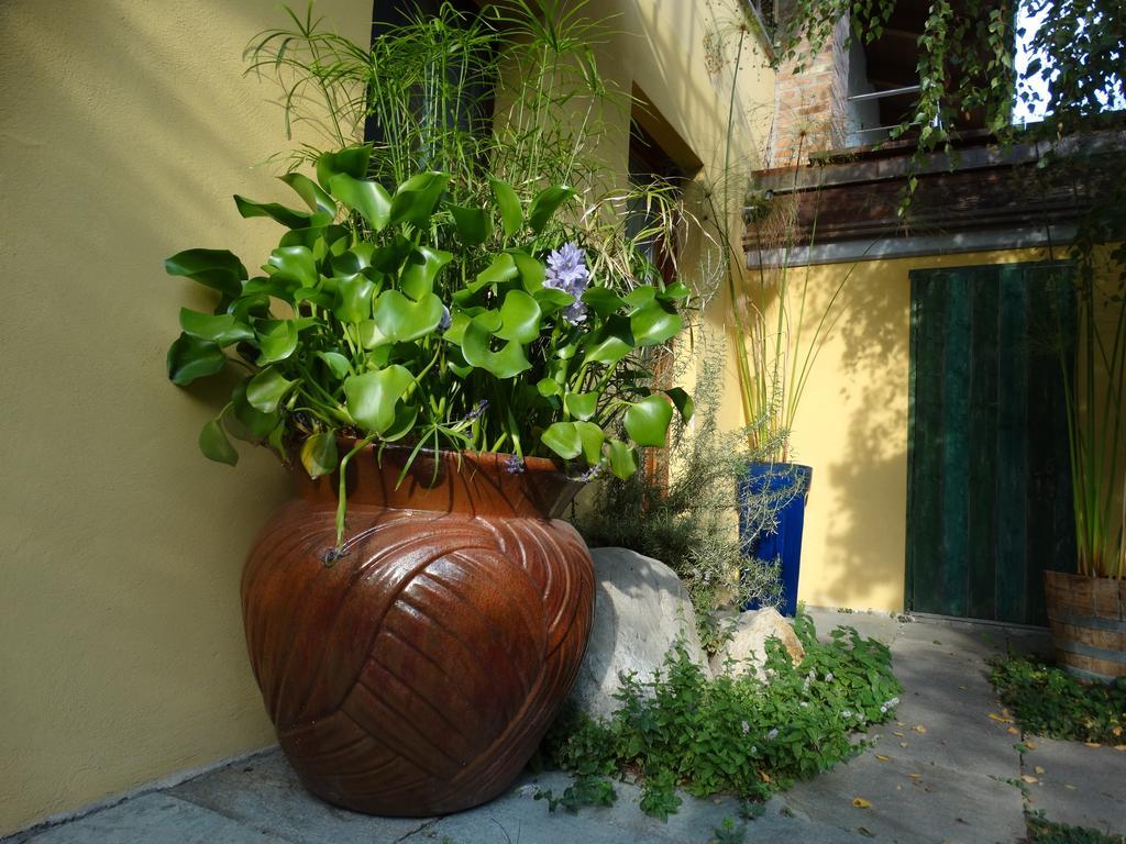 Agriturismo Casa De Colores Moretta المظهر الخارجي الصورة