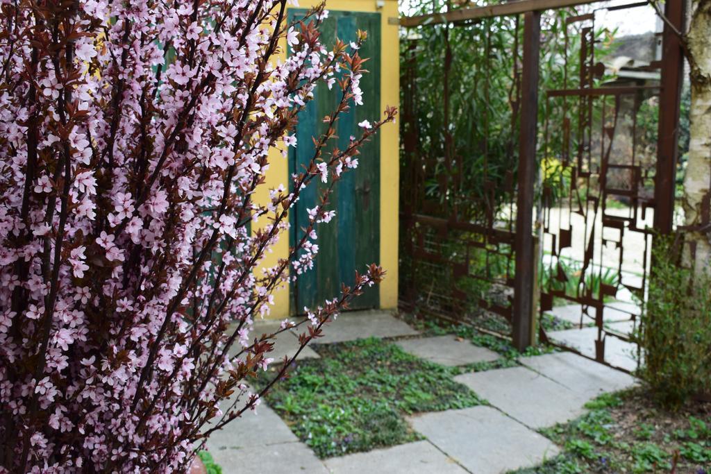Agriturismo Casa De Colores Moretta المظهر الخارجي الصورة